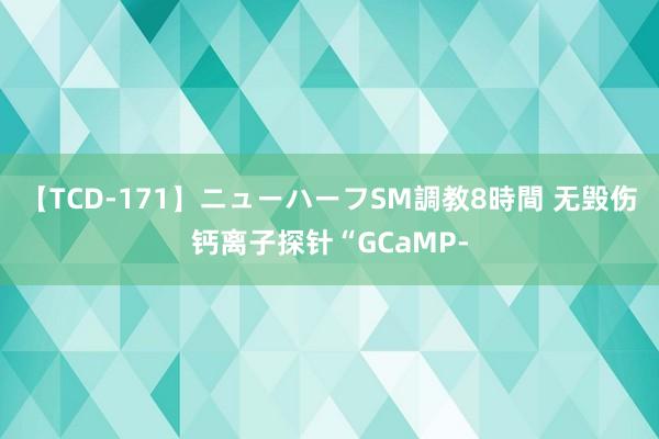 【TCD-171】ニューハーフSM調教8時間 无毁伤钙离子探针“GCaMP-