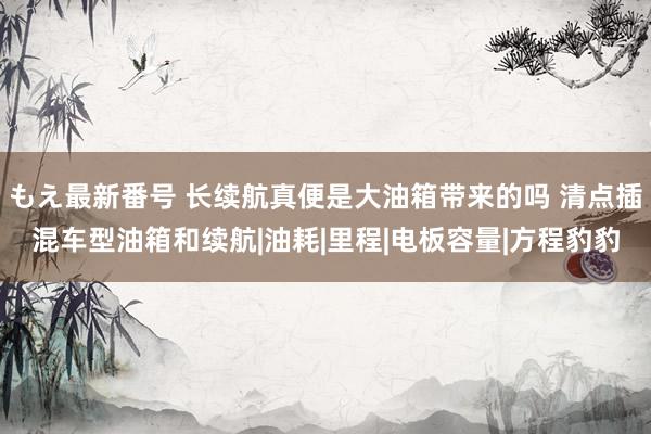 もえ最新番号 长续航真便是大油箱带来的吗 清点插混车型油箱和续航|油耗|里程|电板容量|方程豹豹