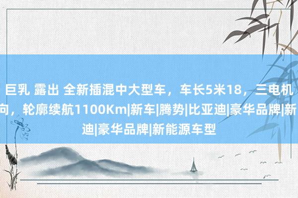 巨乳 露出 全新插混中大型车，车长5米18，三电机+后轮转向，轮廓续航1100Km|新车|腾势|比亚迪|豪华品牌|新能源车型