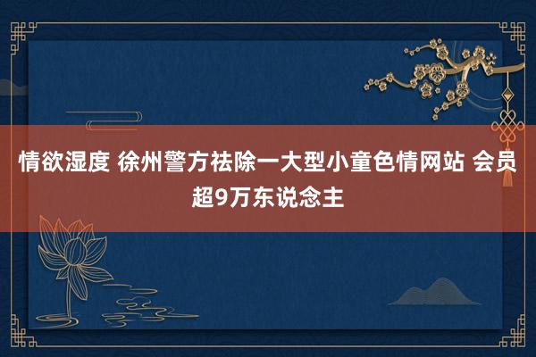 情欲湿度 徐州警方祛除一大型小童色情网站 会员超9万东说念主