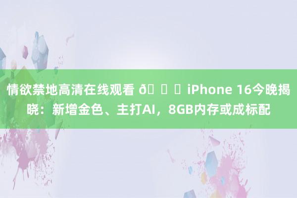 情欲禁地高清在线观看 🍎iPhone 16今晚揭晓：新增金色、主打AI，8GB内存或成标配