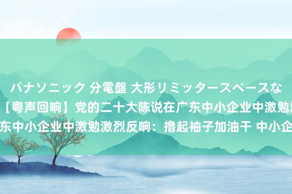 パナソニック 分電盤 大形リミッタースペースなし 露出・半埋込両用形 【粤声回响】党的二十大陈说在广东中小企业中激勉激烈反响：撸起袖子加油干 中小企业办大事