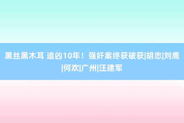 黑丝黑木耳 追凶10年！强奸案终获破获|胡忠|刘鹰|何欢|广州|汪建军