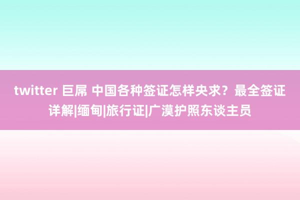 twitter 巨屌 中国各种签证怎样央求？最全签证详解|缅甸|旅行证|广漠护照东谈主员