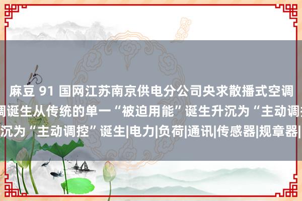 麻豆 91 国网江苏南京供电分公司央求散播式空调诞生相干专利，促使空调诞生从传统的单一“被迫用能”诞生升沉为“主动调控”诞生|电力|负荷|通讯|传感器|规章器|国度电网